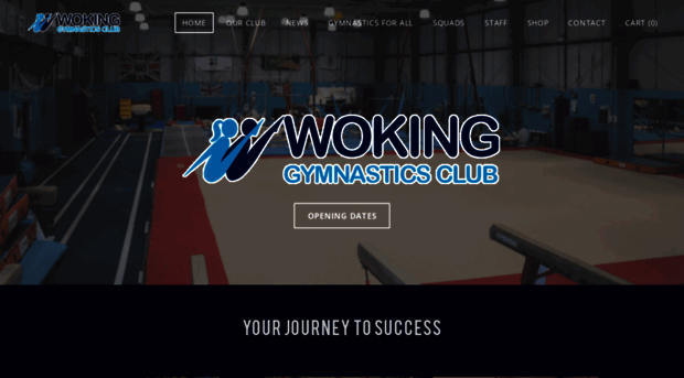 wokinggymnastics.co.uk