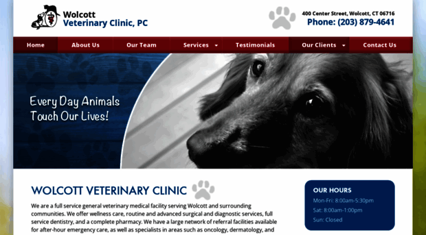 wolcottvet.com