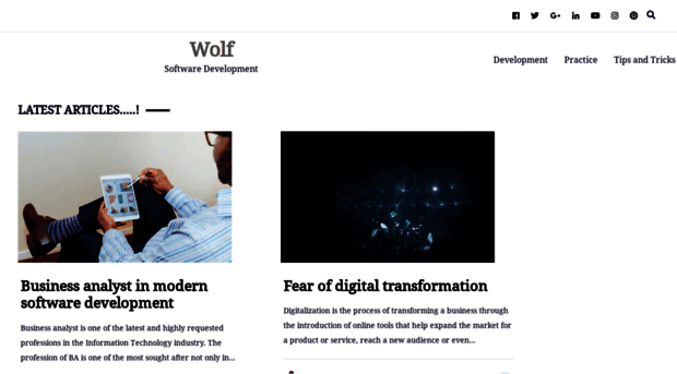 wolf-software.com
