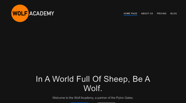 wolfacademy.net