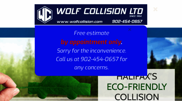 wolfcollision.com