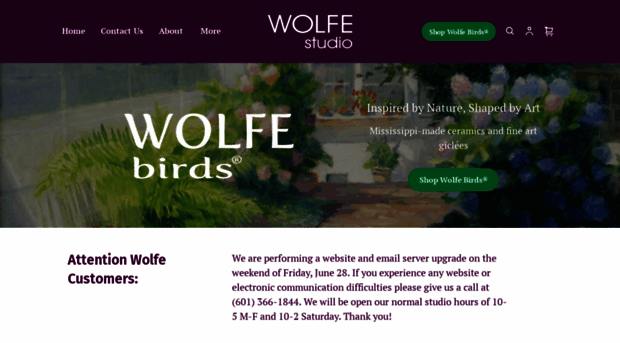 wolfebirds.com