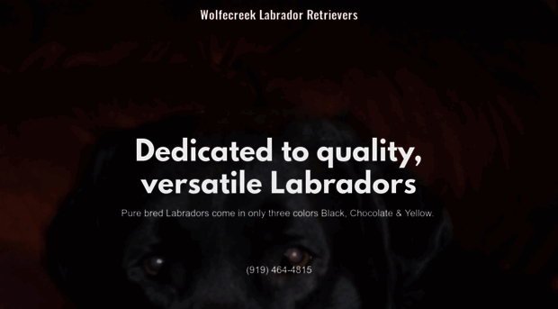 wolfecreeklabradors.com