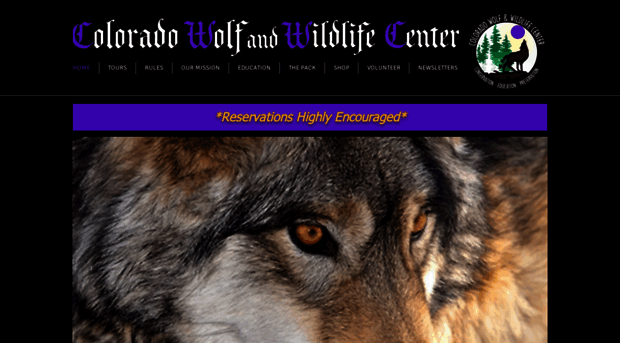 wolfeducation.org