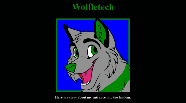 wolfletech.com