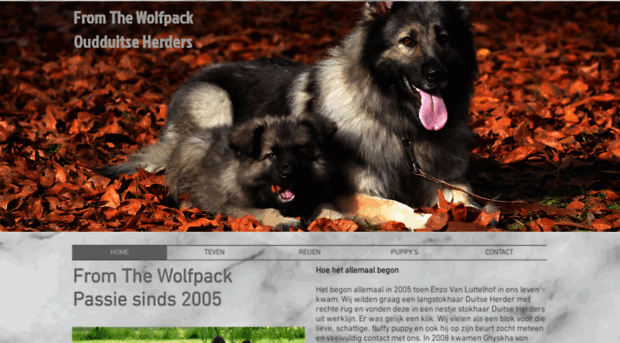 wolfpacks.be