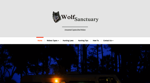 wolfsanctuary.org