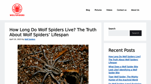 wolfspiders.org