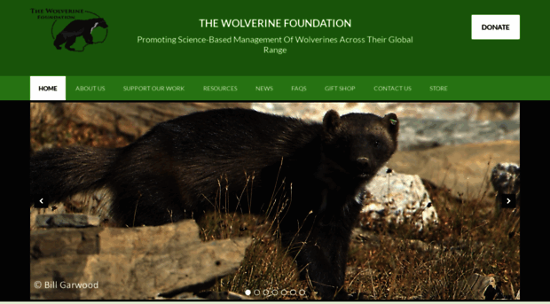 wolverinefoundation.org