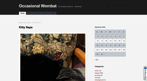 wombatilim.com