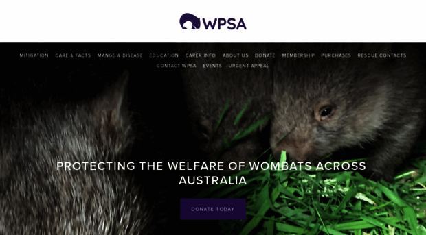 wombatprotection.org.au