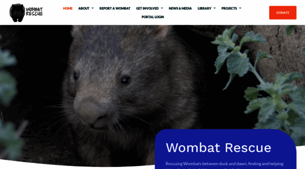 wombatrescue.com.au