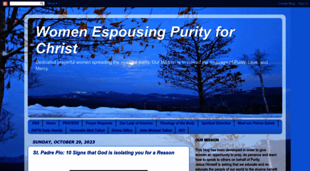 womenespousingpurity.blogspot.com