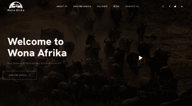 wonaafrika.co.zw