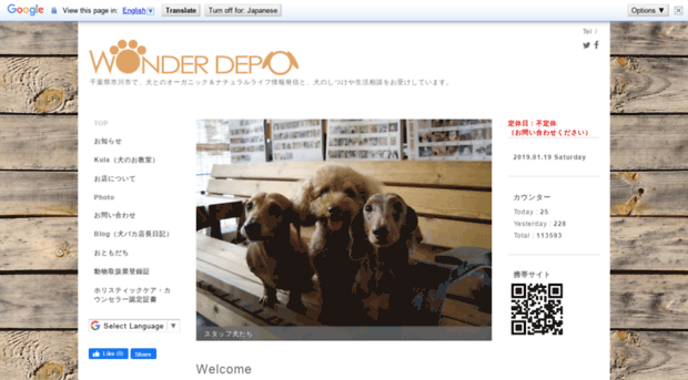 wonder-depo.net