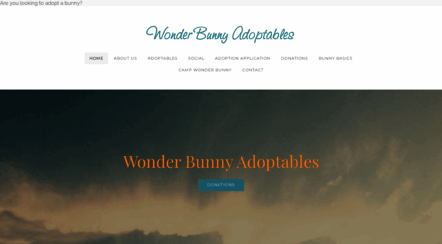 wonderbunny.org