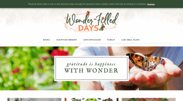 wonderfilleddays.com