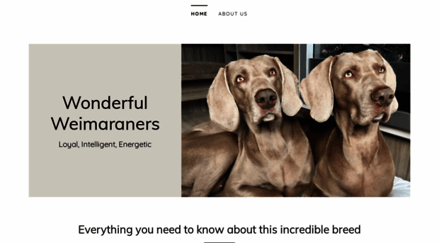 wonderfulweimaraners.com