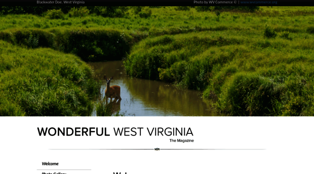 wonderfulwv.com