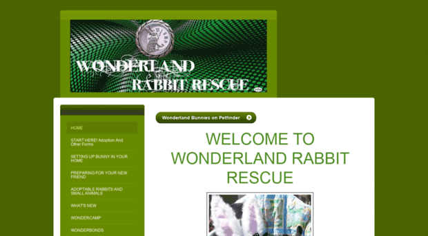 wonderlandrabbitrescue.com