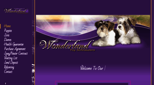 wonderlandtoyschnauzers.com