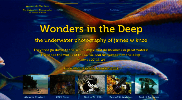 wondersinthedeep.com