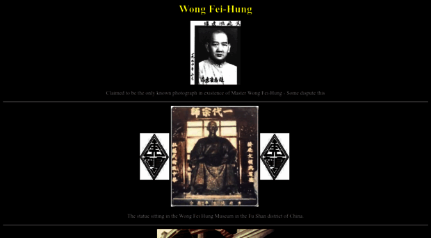 wongfeihung.com
