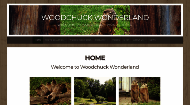 woodchuckwonderland.com