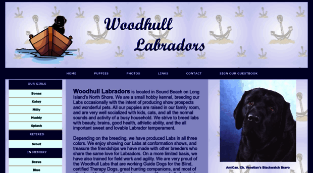 woodhulllabs.com