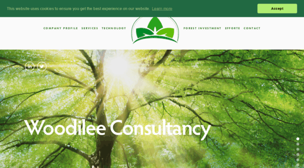 woodileeconsultancy.co.uk