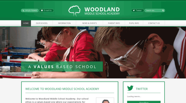 woodlandacademy.co.uk