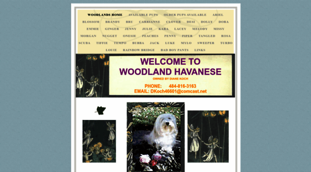 woodlandhavanese.com