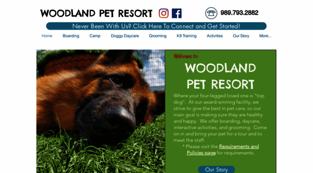 woodlandpetresort.com