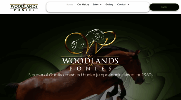 woodlandsponies.com