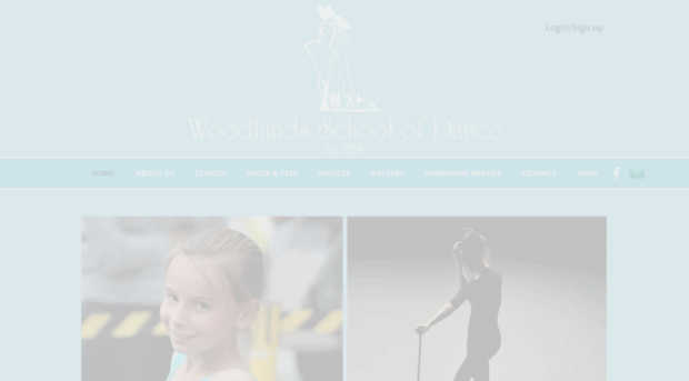 woodlandsschoolofdance.co.uk