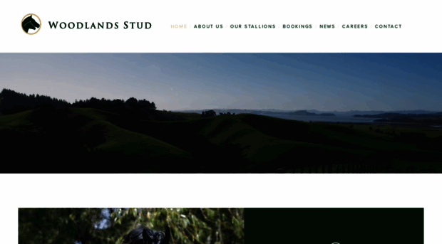 woodlandsstud.co.nz