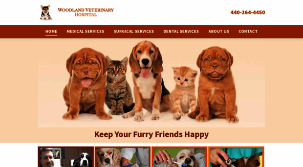 woodlandveterinary.com