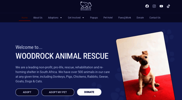 woodrockanimalrescue.co.za