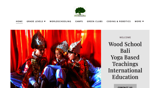 woodschoolbali.com