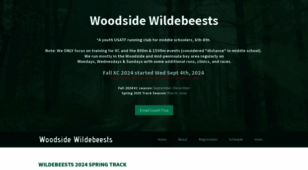 woodsidewildebeests.com