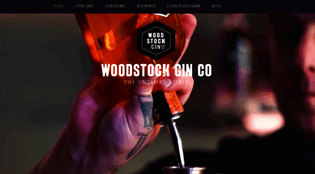 woodstockginco.co.za