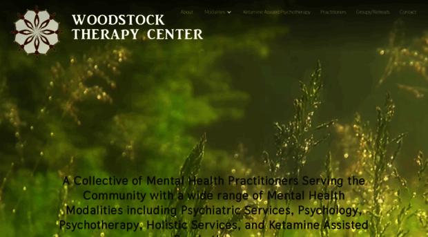 woodstocktherapycenter.com