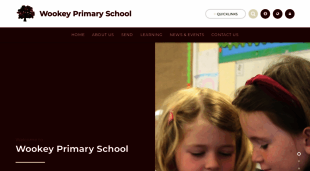 wookeyprimaryschool.co.uk