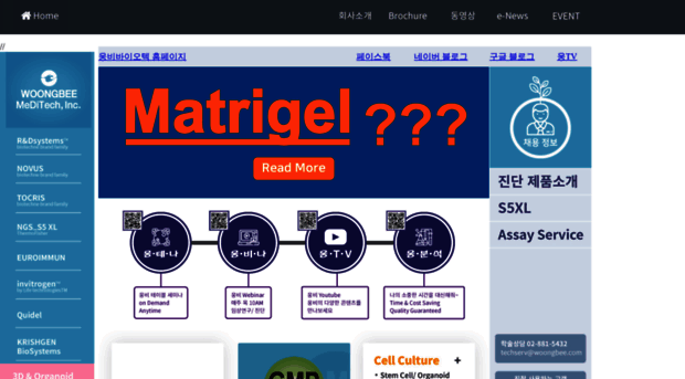 woongbee.com