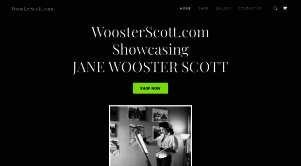 woosterscott.com