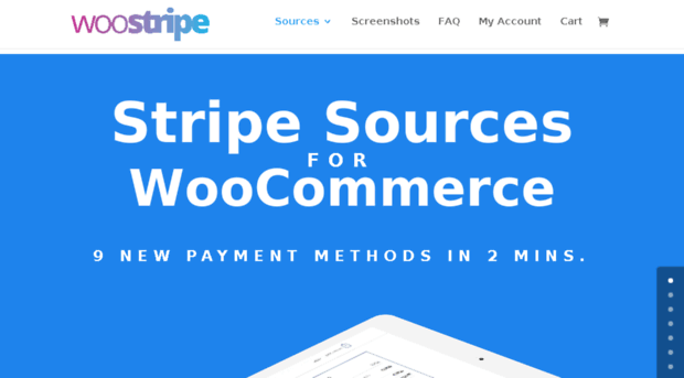 woostripe.com