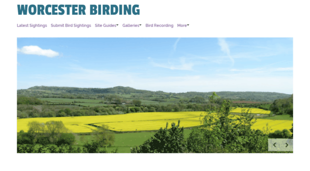 worcesterbirding.co.uk