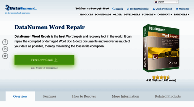 word-repair.com