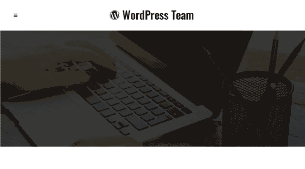 wordpress-team.com