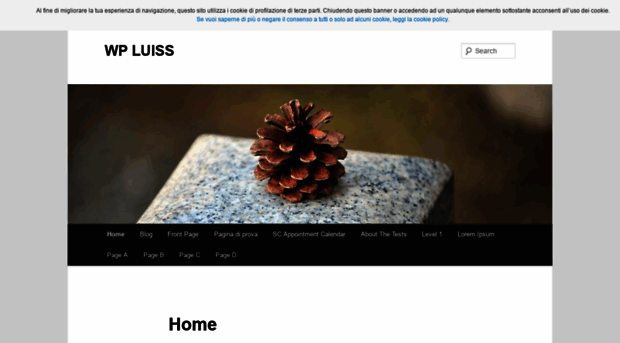 wordpress.luiss.it